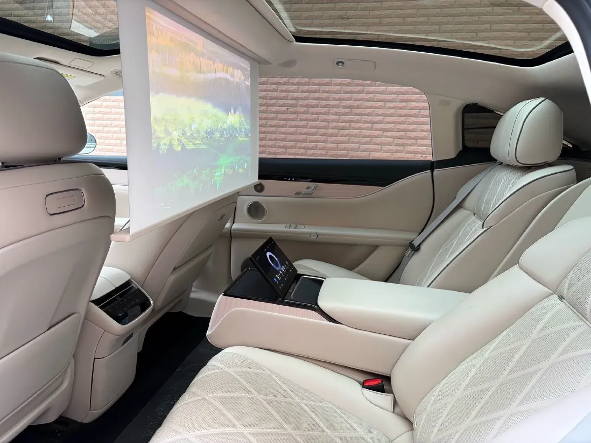 2024 HIMA Stelato S9 BEV 100KWH,autocango,china used car exporter,china ev exporter,chinese used car exporter,chinese used ev exporter