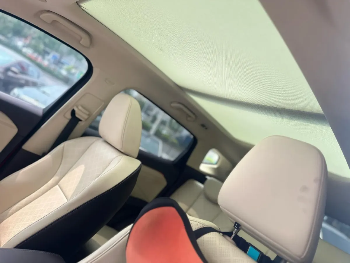 2020 WEY VV6 2.0T 227HP L4 7DCT,autocango,china used car exporter,china ev exporter,chinese used car exporter,chinese used ev exporter