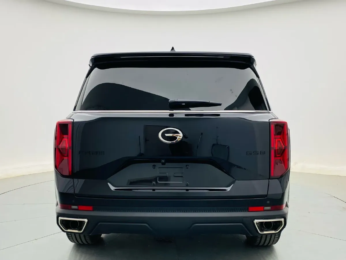 2024 GAC Trumpchi GS8 2.0T 252HP L4 8AT,autocango,china used car exporter,china ev exporter,chinese used car exporter,chinese used ev exporter