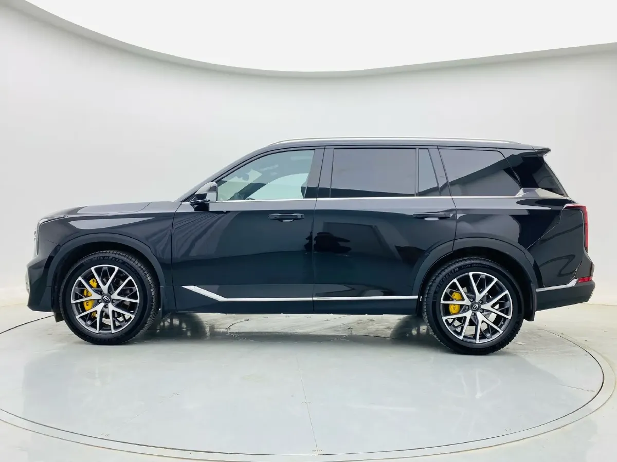 2024 GAC Trumpchi GS8 2.0T 252HP L4 8AT,autocango,china used car exporter,china ev exporter,chinese used car exporter,chinese used ev exporter