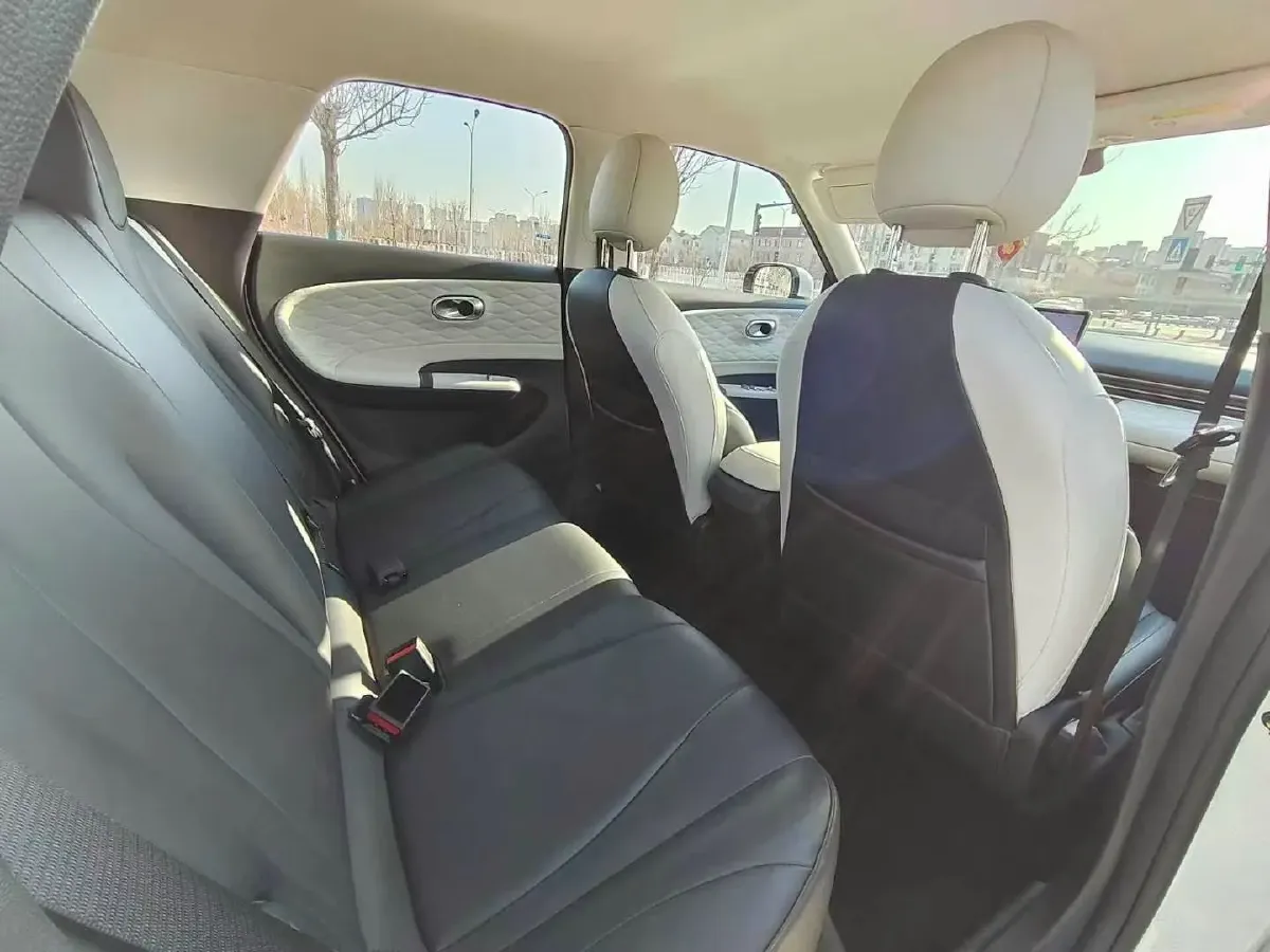 2024 DongFeng Nammi 01 BEV 42.3KWH,autocango,china used car exporter,china ev exporter,chinese used car exporter,chinese used ev exporter