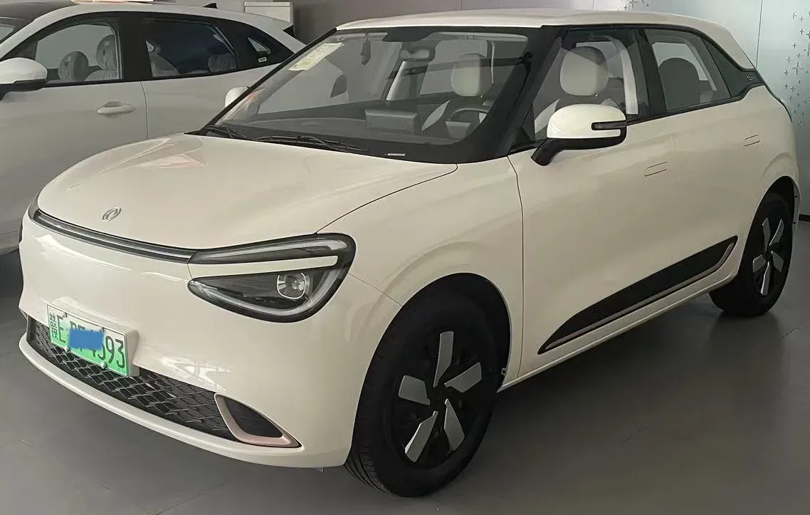 2024 DongFeng Nammi 01 BEV 42.3KWH,autocango,china used car exporter,china ev exporter,chinese used car exporter,chinese used ev exporter