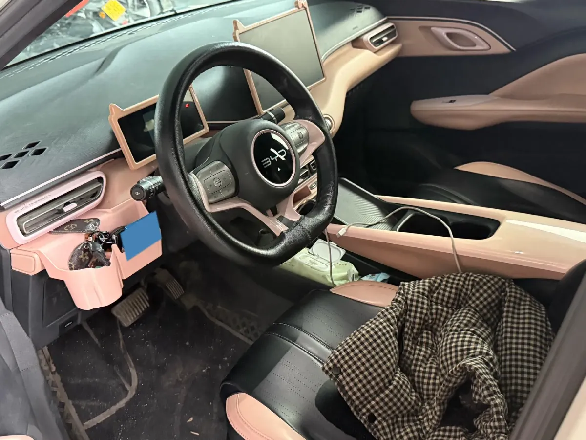 2024 BYD Seagull BEV 30.08KWH,autocango,china used car exporter,china ev exporter,chinese used car exporter,chinese used ev exporter