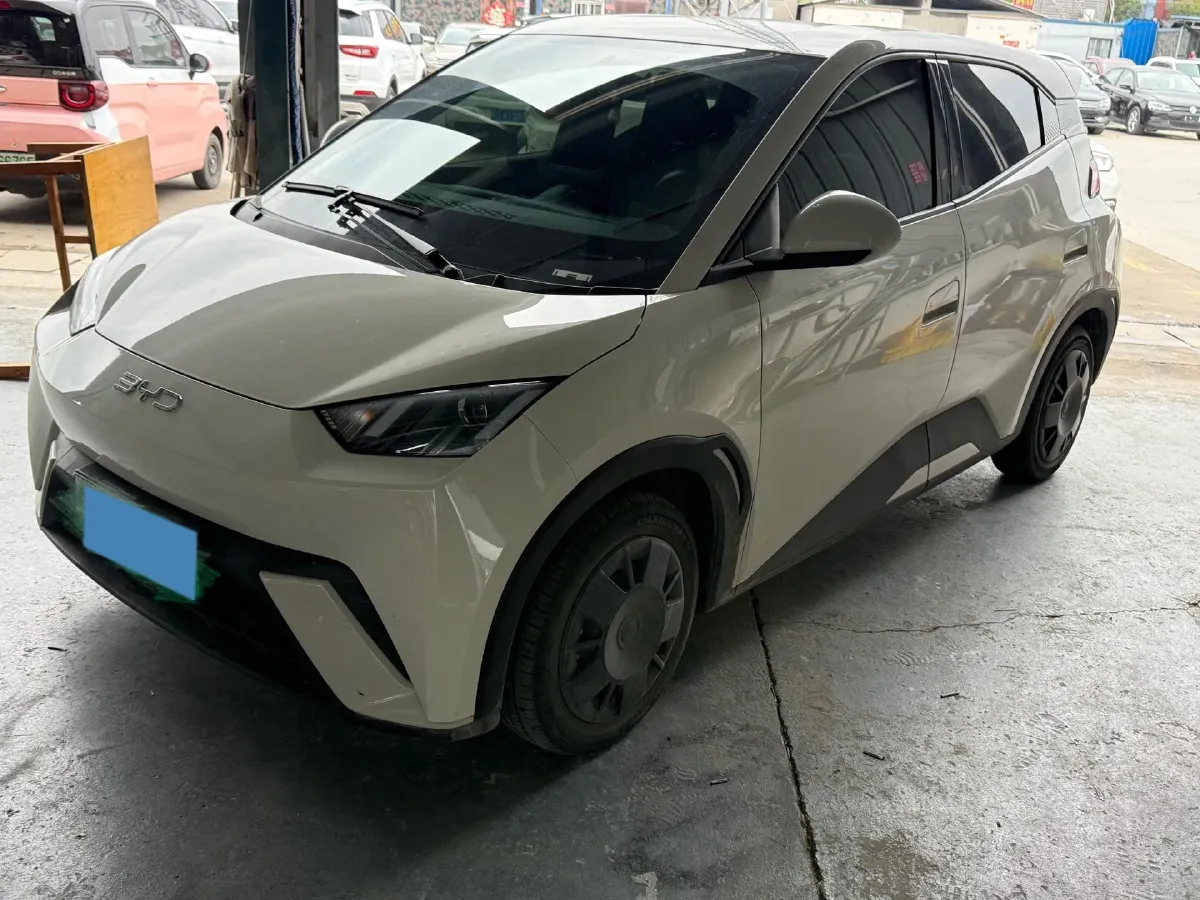 2024 BYD Seagull BEV 30.08KWH,autocango,china used car exporter,china ev exporter,chinese used car exporter,chinese used ev exporter