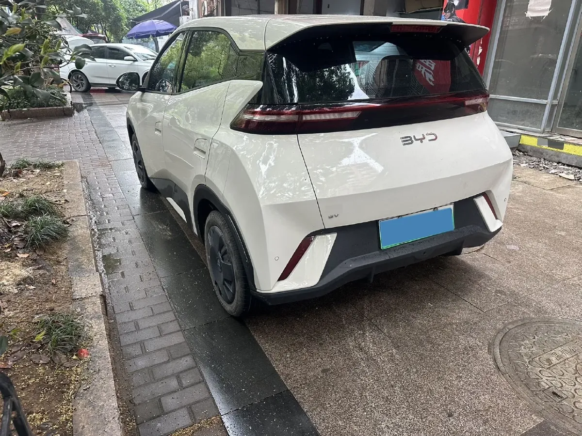 2025 BYD Seagull BEV 30.08KWH,autocango,china used car exporter,china ev exporter,chinese used car exporter,chinese used ev exporter