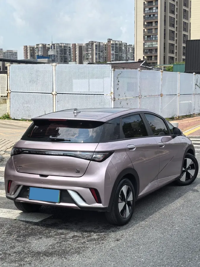 2023 BYD Dolphin BEV 44.928KWH,autocango,china used car exporter,china ev exporter,chinese used car exporter,chinese used ev exporter