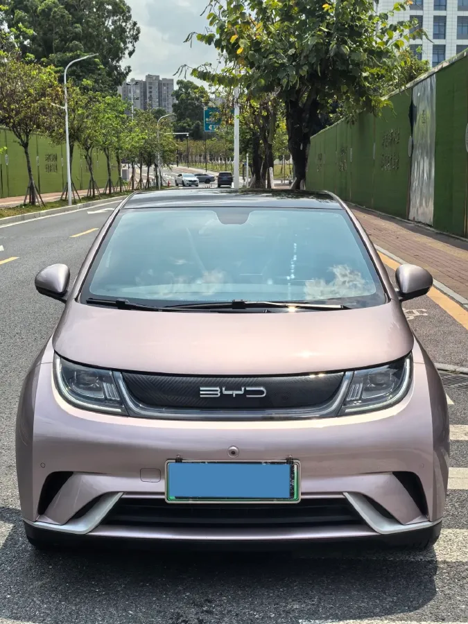 2023 BYD Dolphin BEV 44.928KWH,autocango,china used car exporter,china ev exporter,chinese used car exporter,chinese used ev exporter