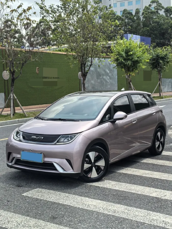 2023 BYD Dolphin BEV 44.928KWH,autocango,china used car exporter,china ev exporter,chinese used car exporter,chinese used ev exporter