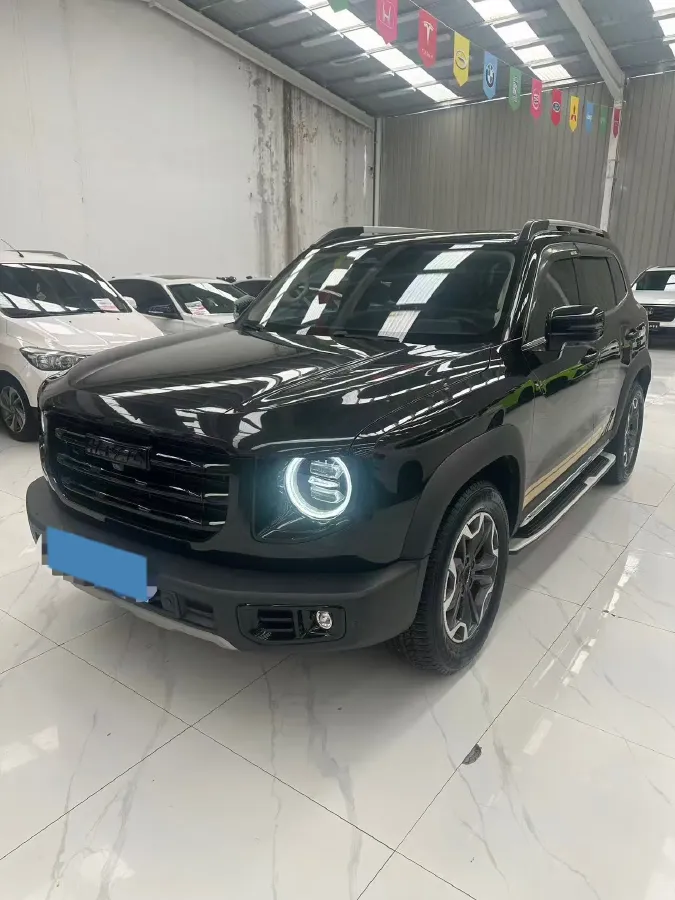2021 Haval Dargo 2.0T 211HP L4 7DCT,autocango,china used car exporter,china ev exporter,chinese used car exporter,chinese used ev exporter