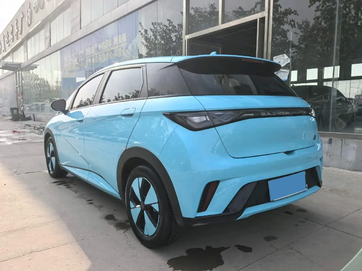 2024 BYD Dolphin BEV 44.928KWH,autocango,china used car exporter,china ev exporter,chinese used car exporter,chinese used ev exporter