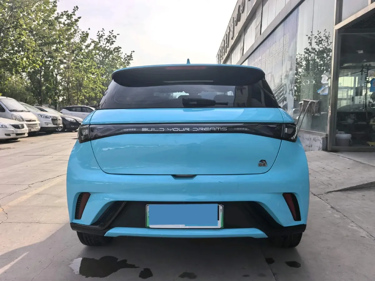 2024 BYD Dolphin BEV 44.928KWH,autocango,china used car exporter,china ev exporter,chinese used car exporter,chinese used ev exporter