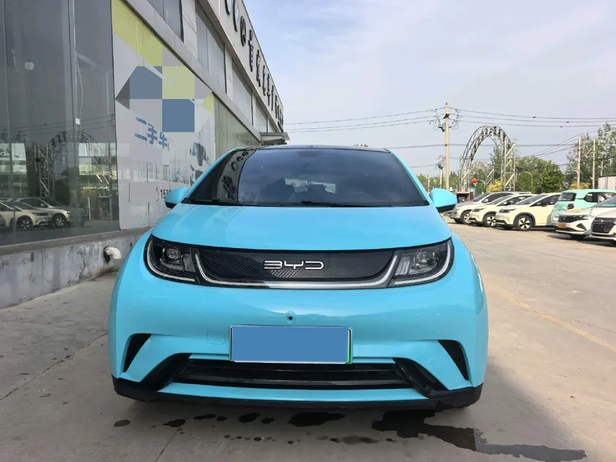 2024 BYD Dolphin BEV 44.928KWH,autocango,china used car exporter,china ev exporter,chinese used car exporter,chinese used ev exporter