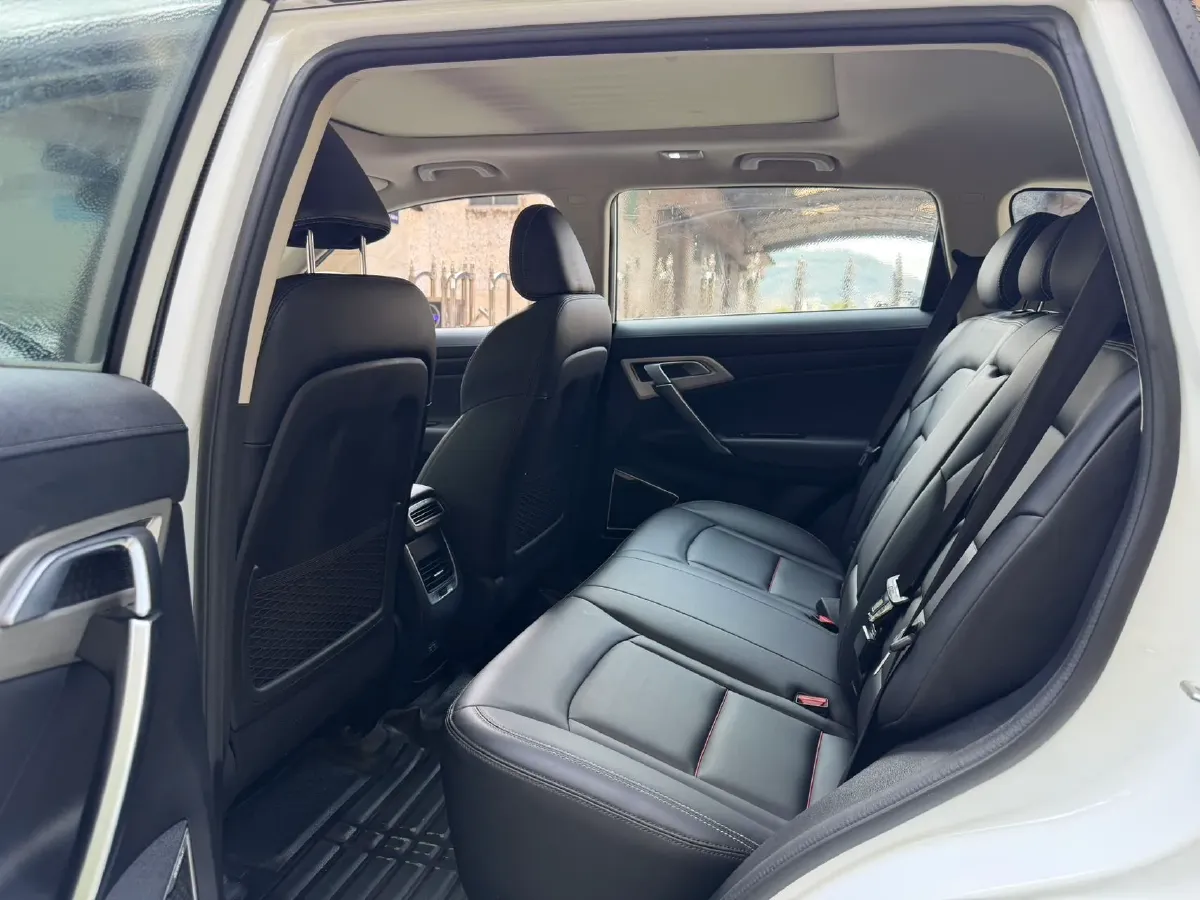 2020 Great Wall Poer 2.0T 163HP L4 8AT,autocango,china used car exporter,china ev exporter,chinese used car exporter,chinese used ev exporter