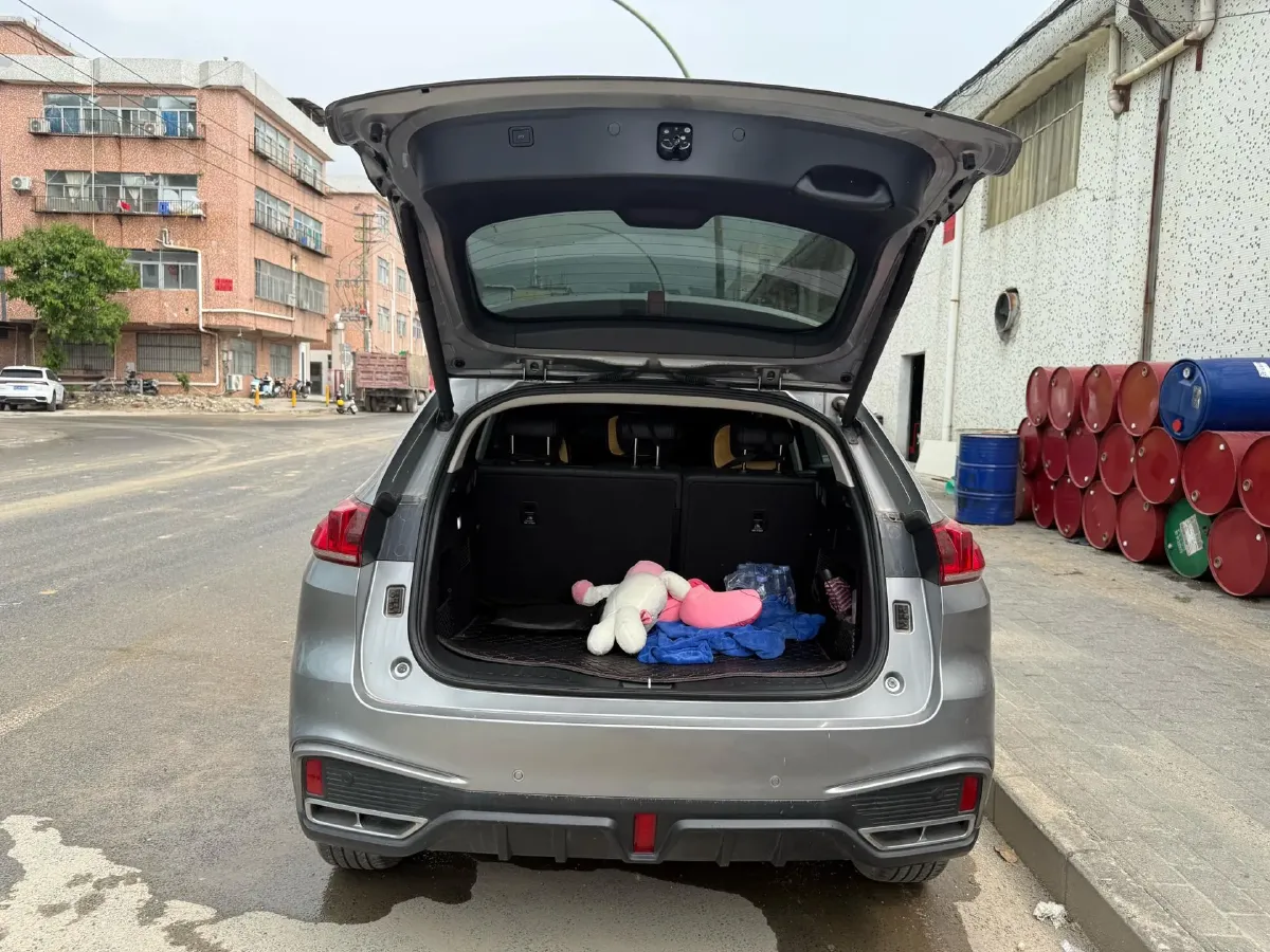 2020 WEY VV5 1.5T 171HP L4 7DCT,autocango,china used car exporter,china ev exporter,chinese used car exporter,chinese used ev exporter