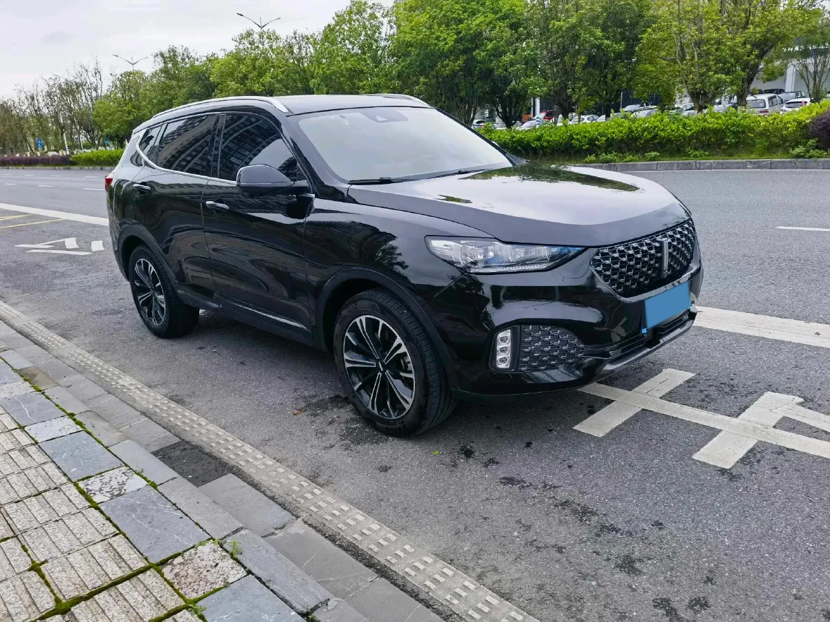 2020 WEY VV6 2.0T 227HP L4 7DCT,autocango,china used car exporter,china ev exporter,chinese used car exporter,chinese used ev exporter