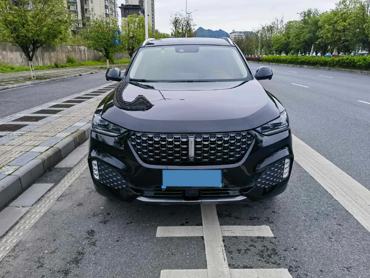 2020 WEY VV6 2.0T 227HP L4 7DCT,autocango,china used car exporter,china ev exporter,chinese used car exporter,chinese used ev exporter