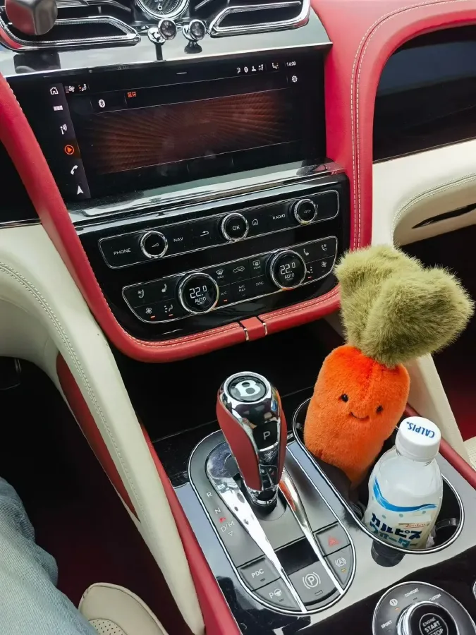 2022 Bentley Bentayga 4.0T 550HP V8 8AT,autocango,china used car exporter,china ev exporter,chinese used car exporter,chinese used ev exporter