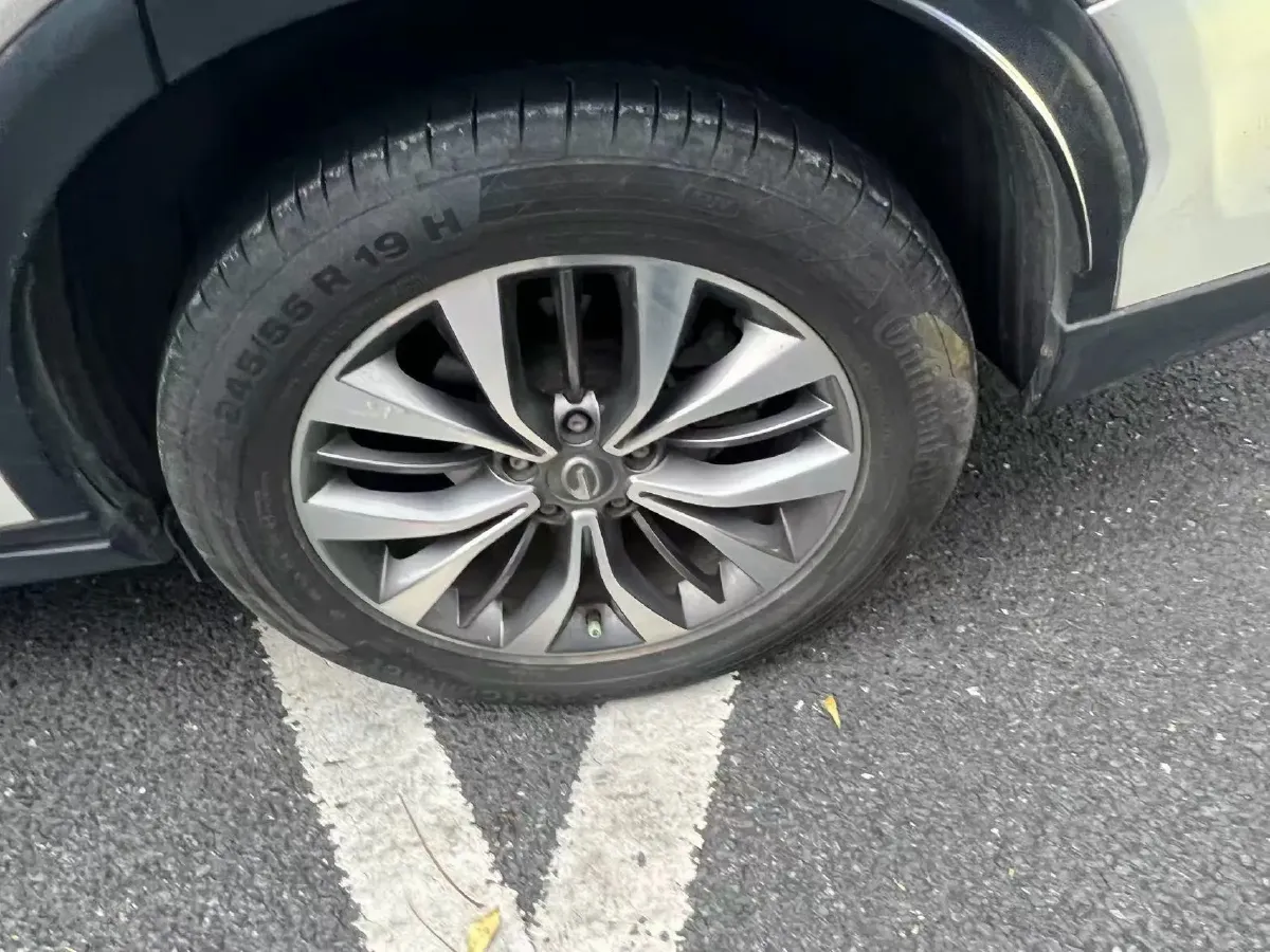 2017 GAC Trumpchi GS8 2.0T 201HP L4 6AT,autocango,china used car exporter,china ev exporter,chinese used car exporter,chinese used ev exporter