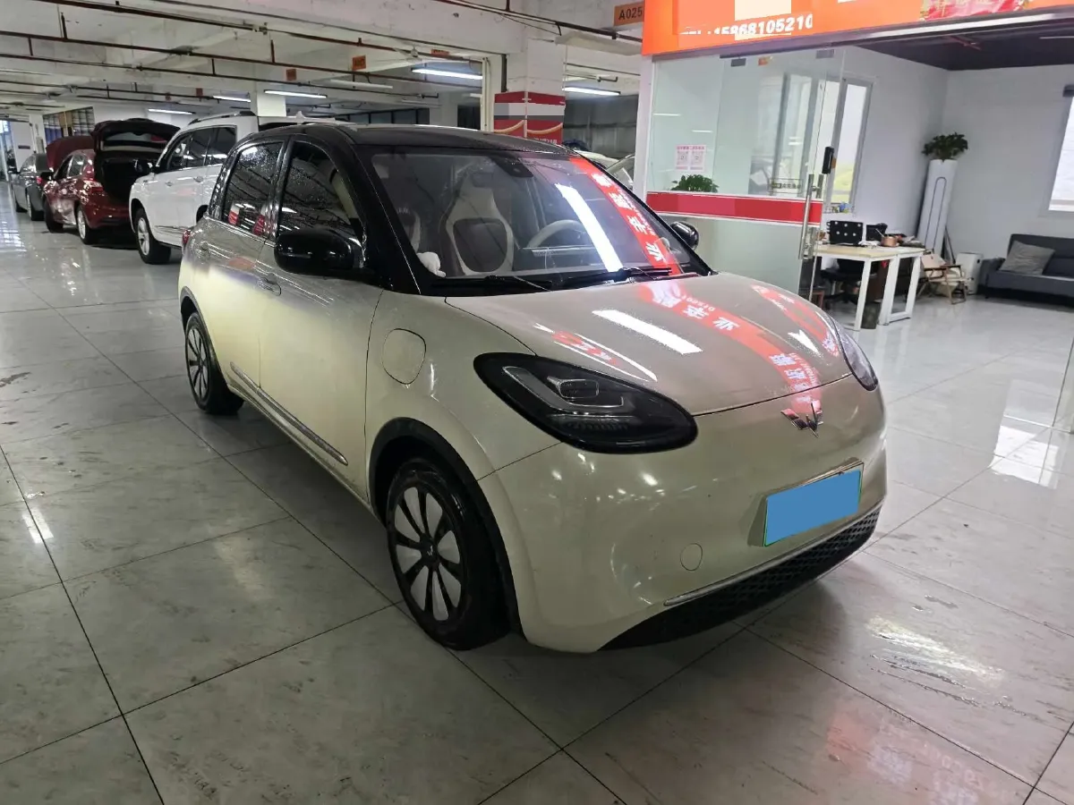 2023 WuLing BinGuo BEV 17.3KWH,autocango,china used car exporter,china ev exporter,chinese used car exporter,chinese used ev exporter