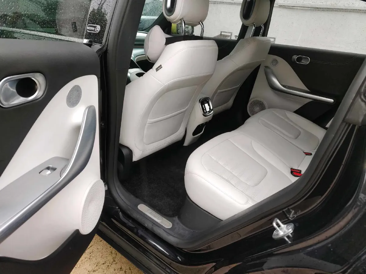 2022 Smart smart Elf 1 BEV 66KWH,autocango,china used car exporter,china ev exporter,chinese used car exporter,chinese used ev exporter