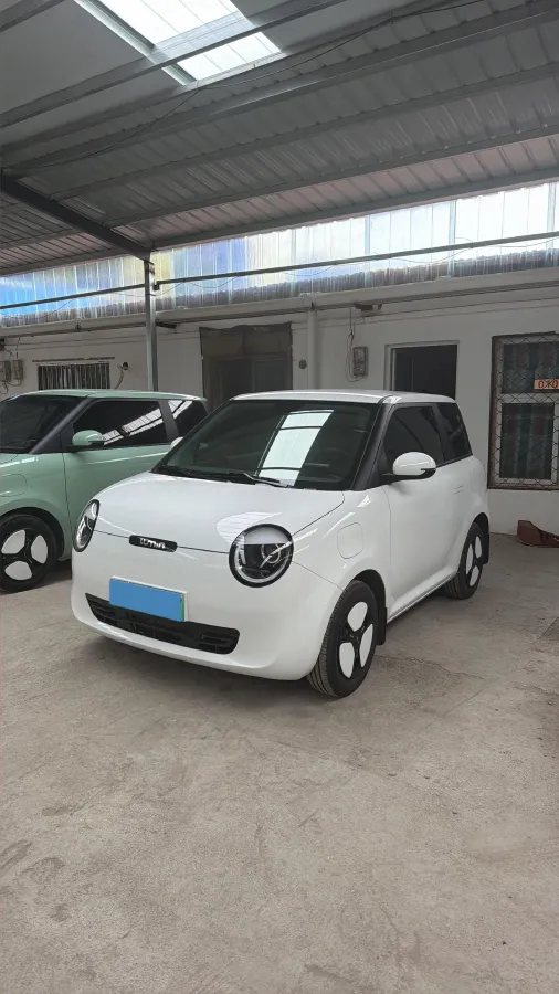 2023 ChangAn QiYuan Lumin BEV 28.08KWH,autocango,china used car exporter,china ev exporter,chinese used car exporter,chinese used ev exporter