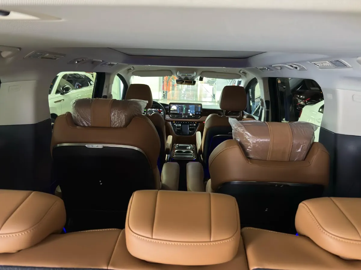 2024 HongQi HQ9 2.0T 163HP L4 1DHT PHEV 20.14KWH,autocango,china used car exporter,china ev exporter,chinese used car exporter,chinese used ev exporter