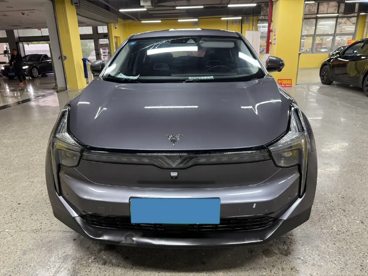 2021 DongFeng FuKang e Elysee BEV 38.4KWH,autocango,china used car exporter,china ev exporter,chinese used car exporter,chinese used ev exporter