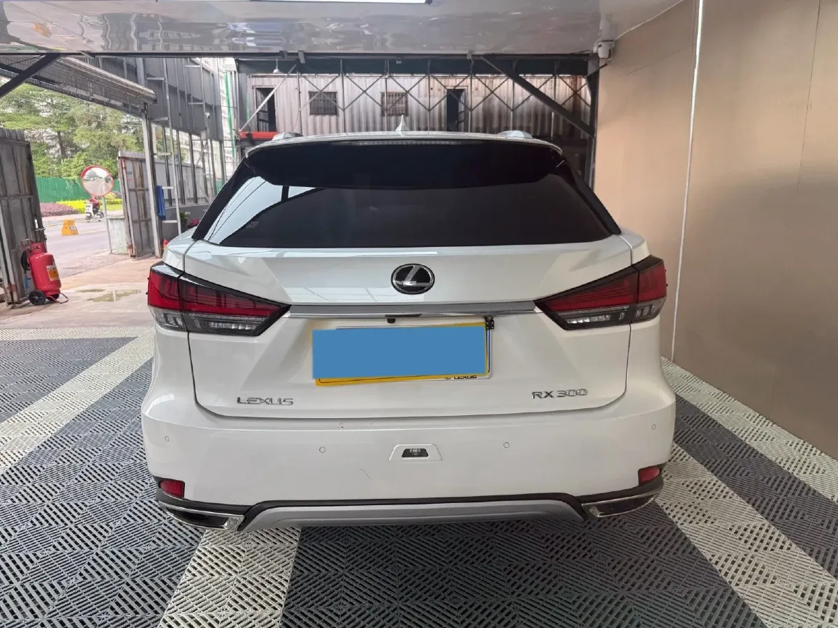 2020 Lexus RX 2.0T 231HP L4 6AT,autocango,china used car exporter,china ev exporter,chinese used car exporter,chinese used ev exporter