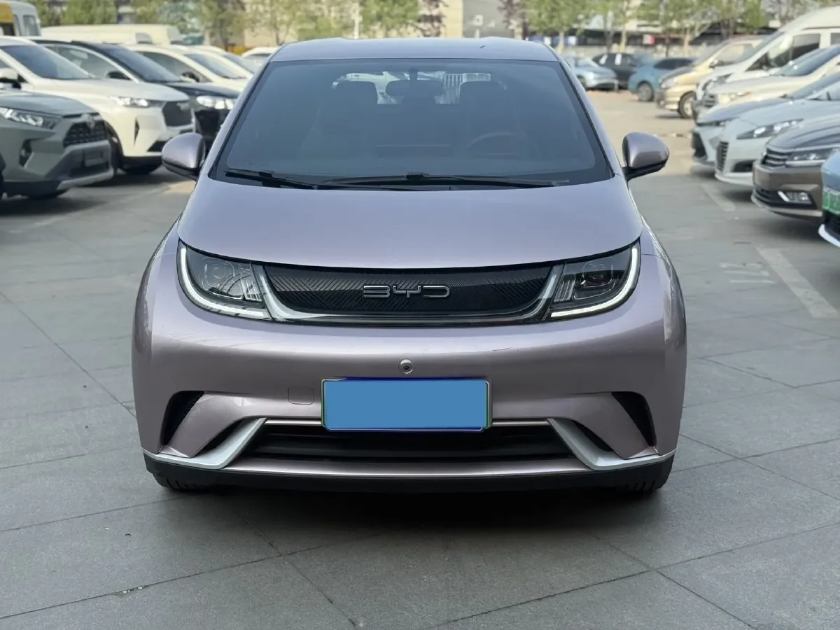 2021 BYD Yuan Pro BEV 50.1KWH,autocango,china used car exporter,china ev exporter,chinese used car exporter,chinese used ev exporter
