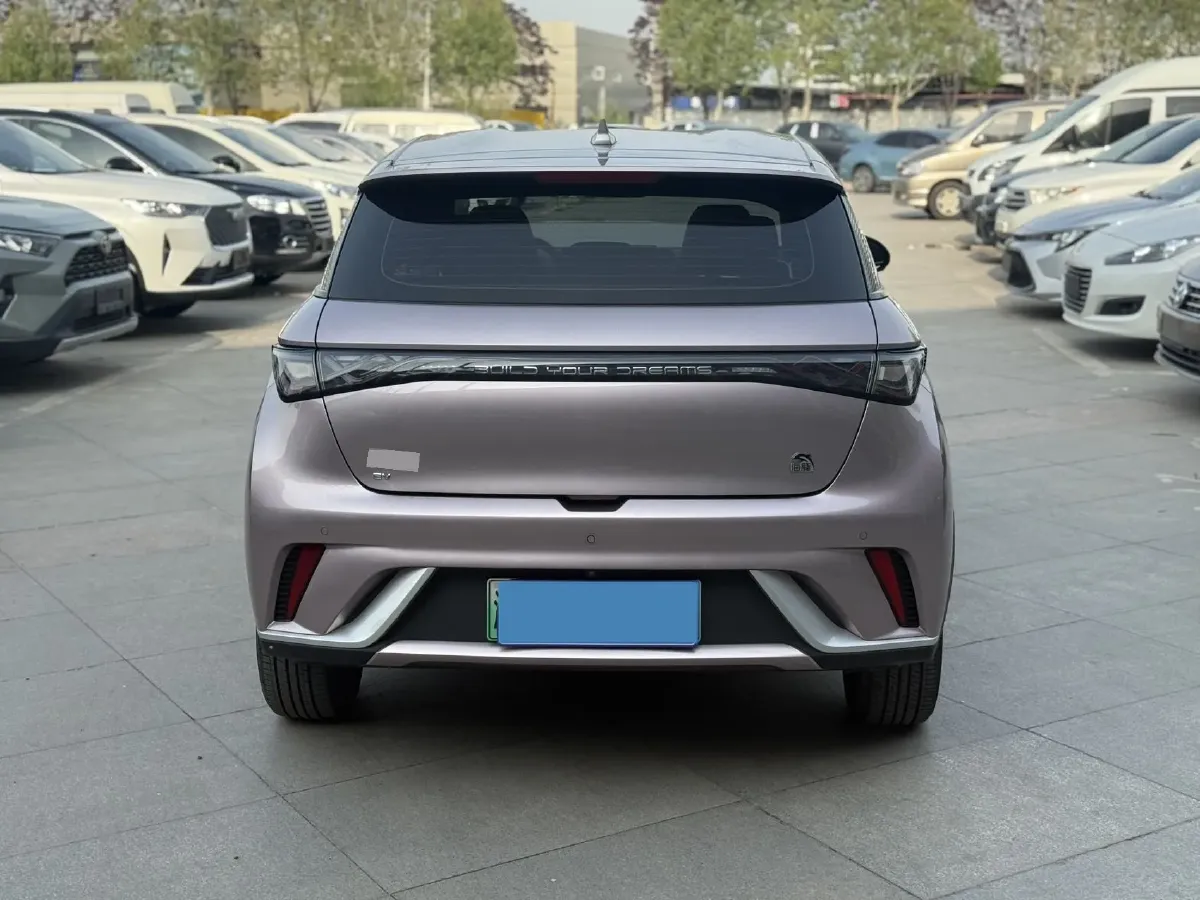 2021 BYD Yuan Pro BEV 50.1KWH,autocango,china used car exporter,china ev exporter,chinese used car exporter,chinese used ev exporter