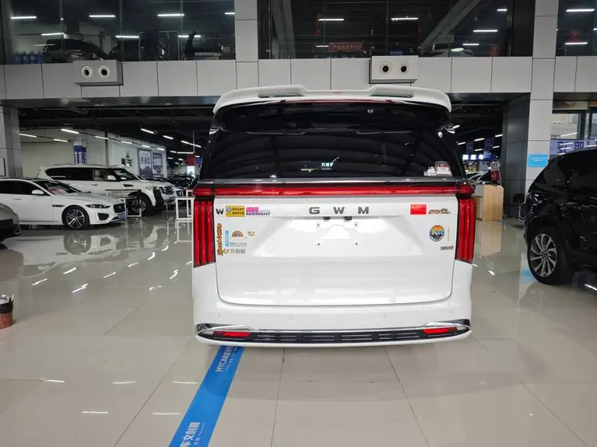 2025 WEY HighMountain 1.5T 170HP L4 4DHT PHEV,autocango,china used car exporter,china ev exporter,chinese used car exporter,chinese used ev exporter