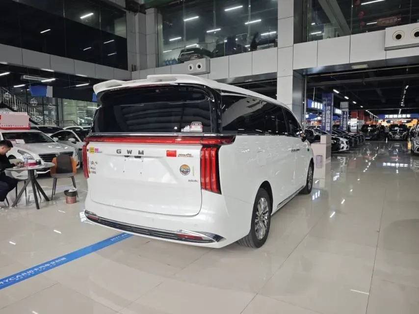 2025 WEY HighMountain 1.5T 170HP L4 4DHT PHEV,autocango,china used car exporter,china ev exporter,chinese used car exporter,chinese used ev exporter