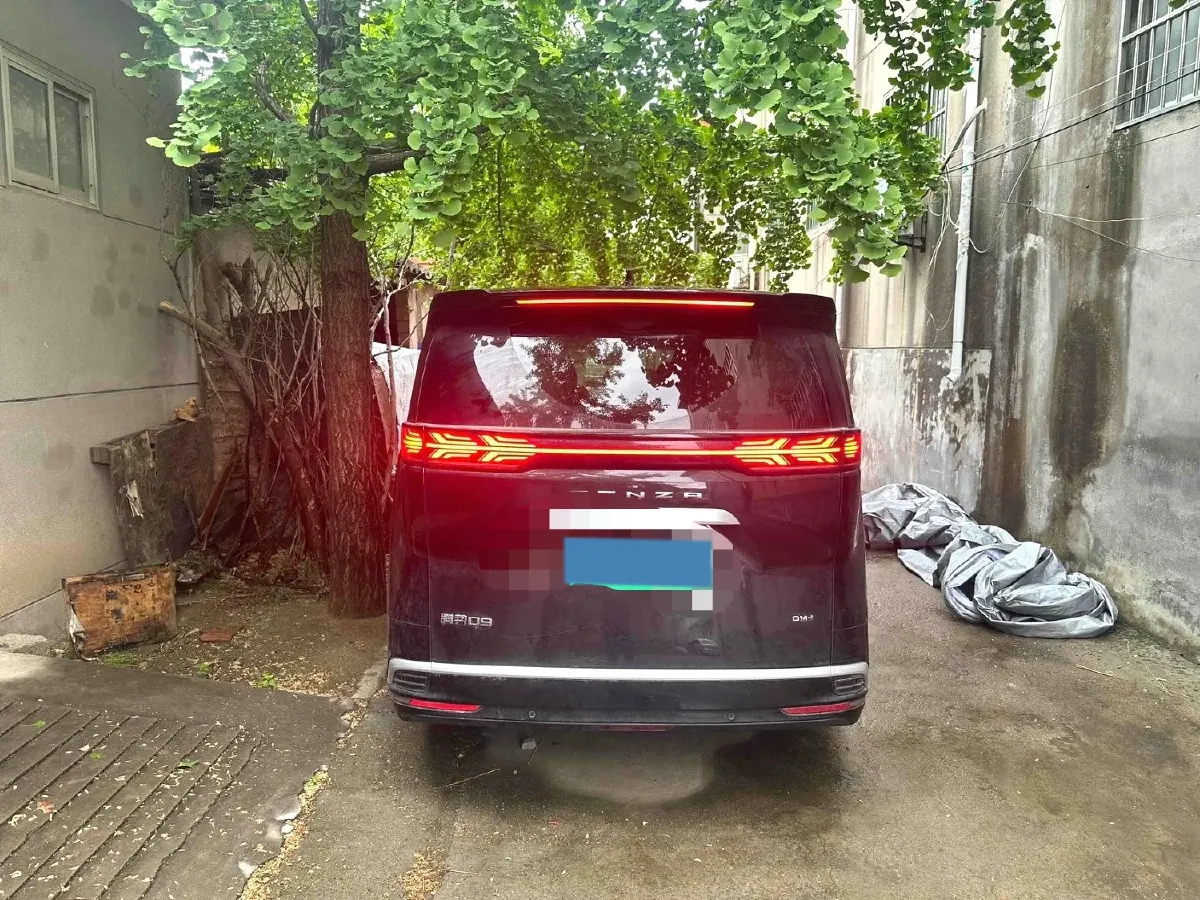 2024 Denza D9 1.5T 139HP L4 E-CVT PHEV 40KWH,autocango,china used car exporter,china ev exporter,chinese used car exporter,chinese used ev exporter