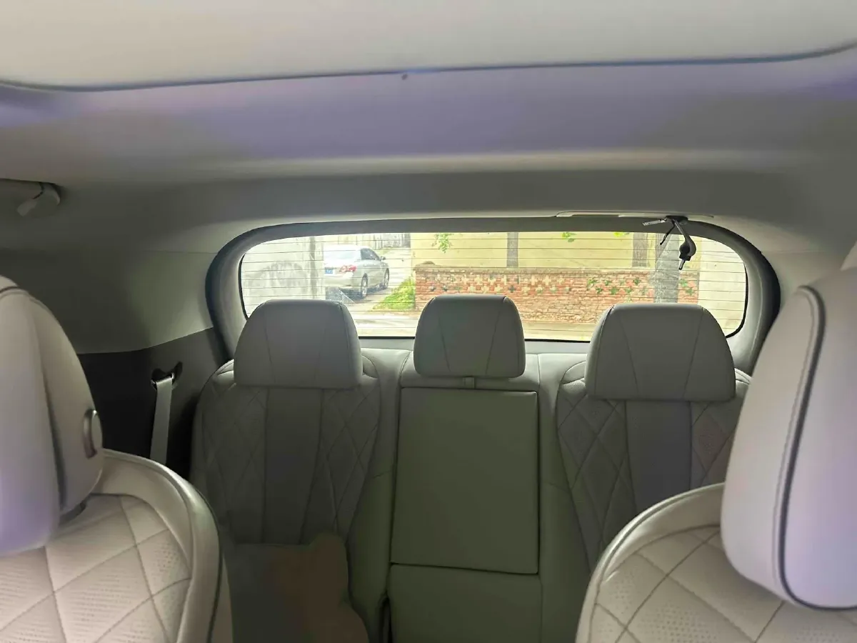 2024 Denza D9 1.5T 139HP L4 E-CVT PHEV 40KWH,autocango,china used car exporter,china ev exporter,chinese used car exporter,chinese used ev exporter