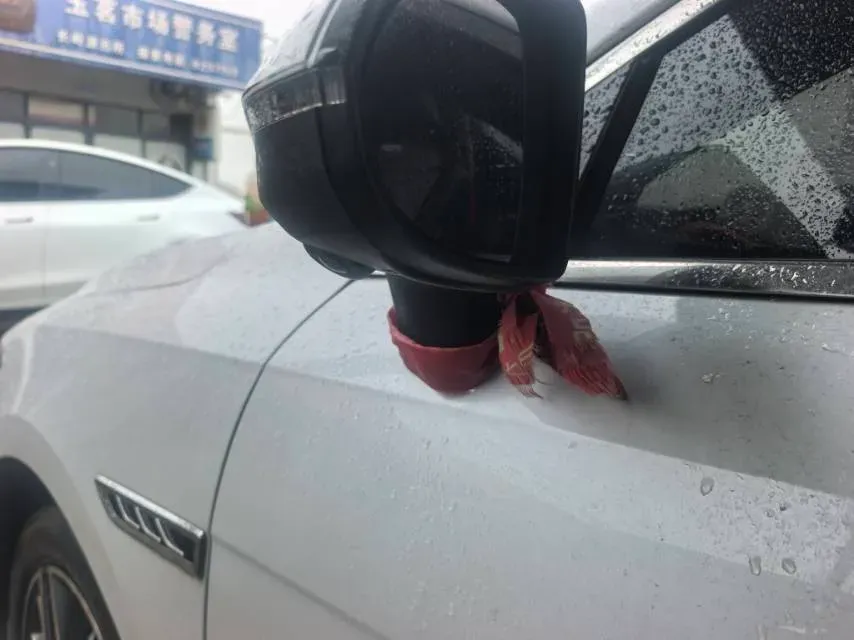 2023 BYD Qin Plus BEV 48KWH,autocango,china used car exporter,china ev exporter,chinese used car exporter,chinese used ev exporter