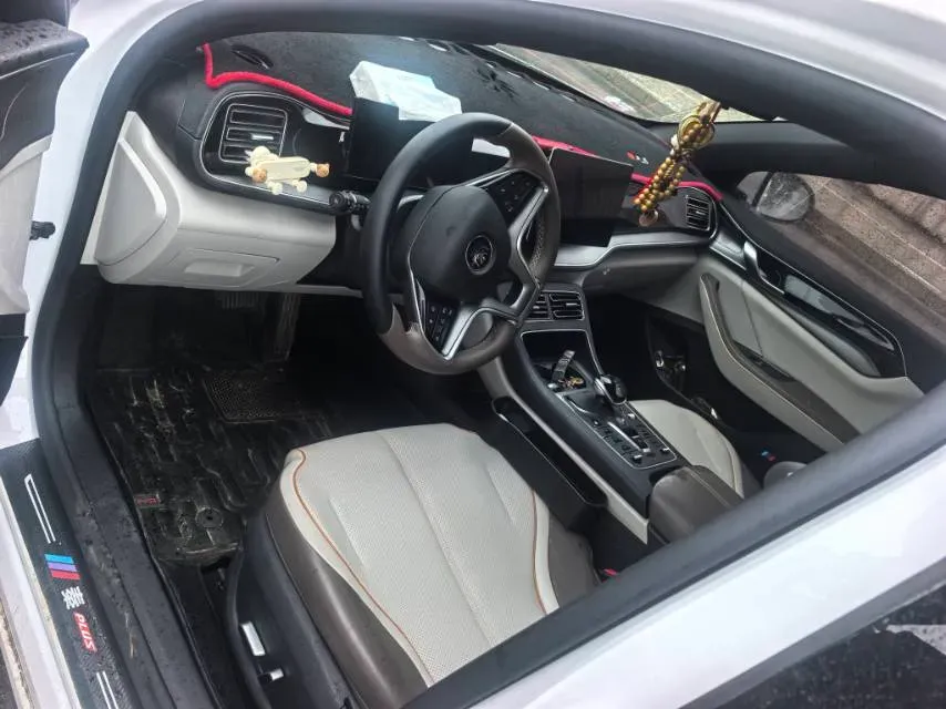 2023 BYD Qin Plus BEV 48KWH,autocango,china used car exporter,china ev exporter,chinese used car exporter,chinese used ev exporter