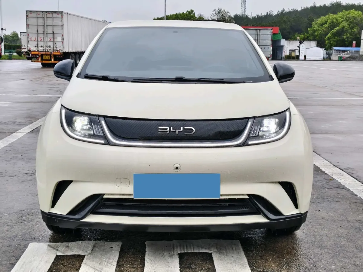 2025 BYD Dolphin BEV 44.928KWH,autocango,china used car exporter,china ev exporter,chinese used car exporter,chinese used ev exporter