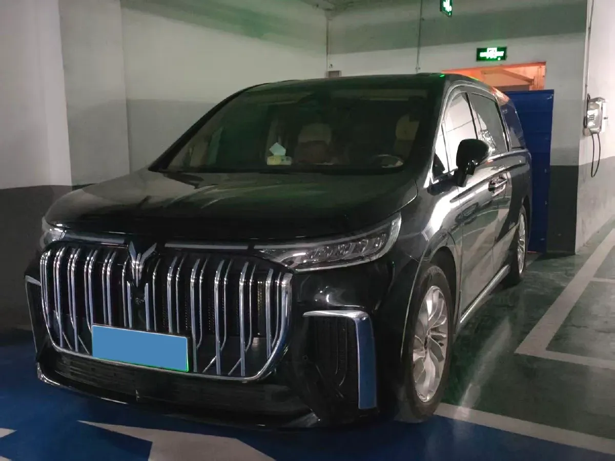 2024 Voyah Dream 1.5T 150HP L4 PHEV 43KWH,autocango,china used car exporter,china ev exporter,chinese used car exporter,chinese used ev exporter