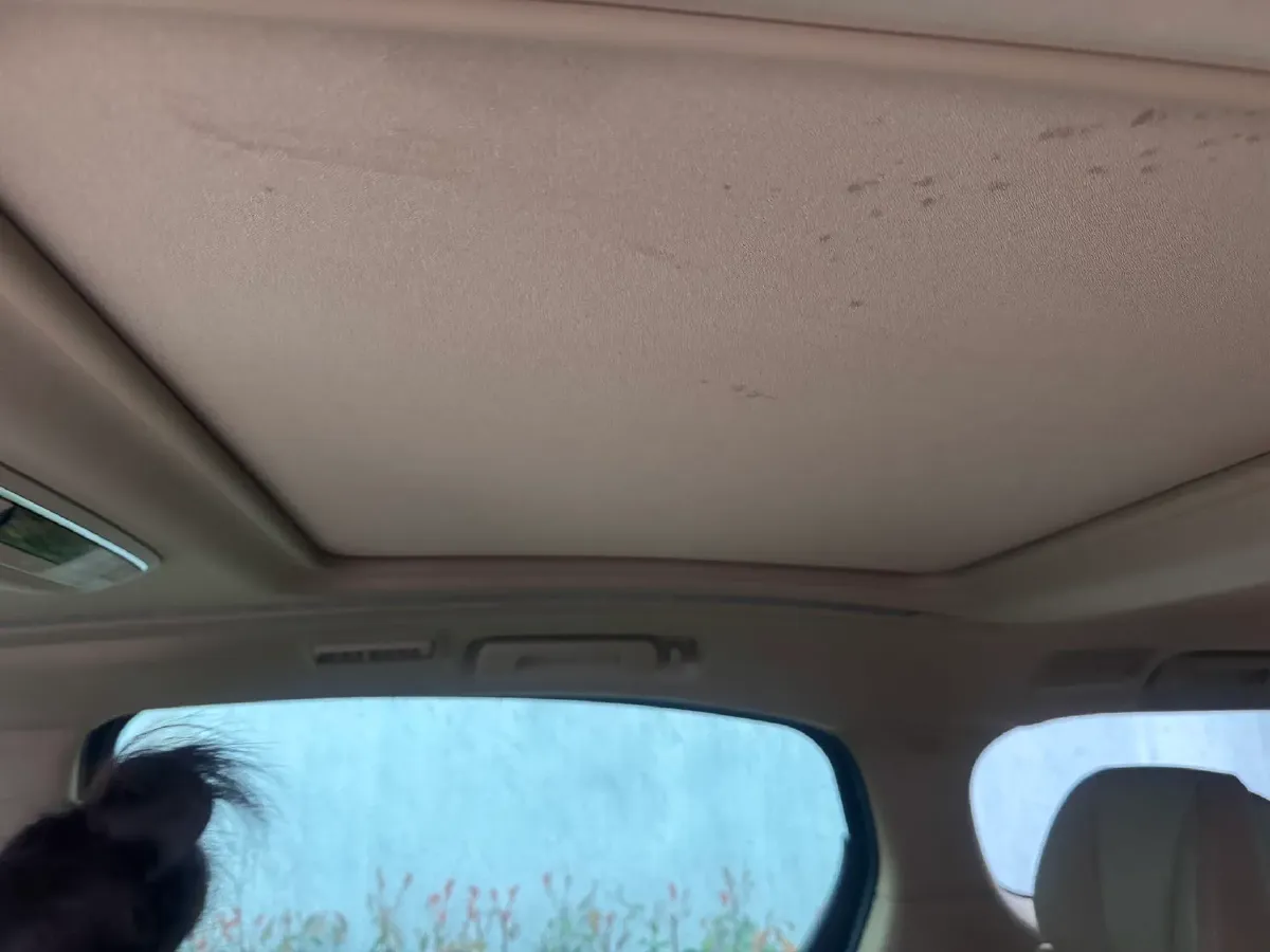 2020 Buick GL8 2.0T 237HP L4 9AT,autocango,china used car exporter,china ev exporter,chinese used car exporter,chinese used ev exporter