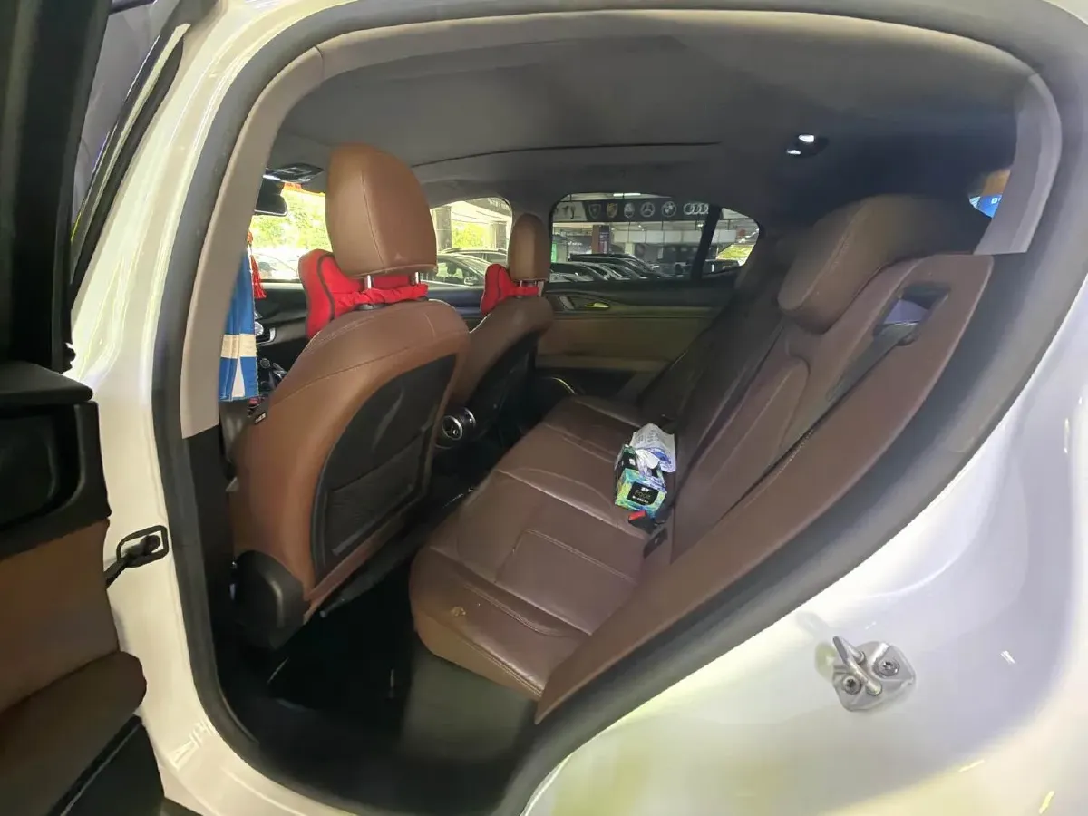 2017 Lexus NX 2.0T 238HP L4 6AT,autocango,china used car exporter,china ev exporter,chinese used car exporter,chinese used ev exporter