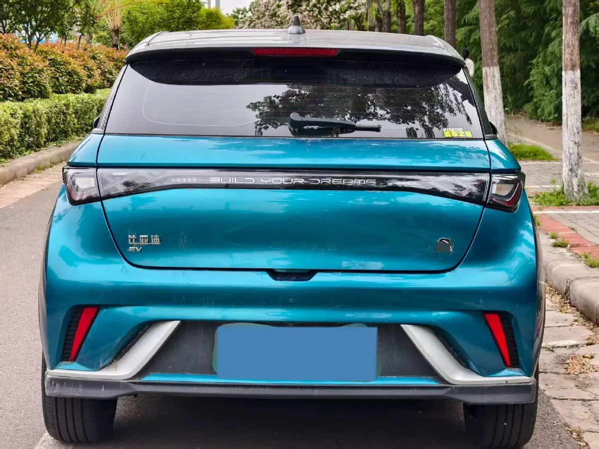 2023 BYD Dolphin BEV 44.928KWH,autocango,china used car exporter,china ev exporter,chinese used car exporter,chinese used ev exporter