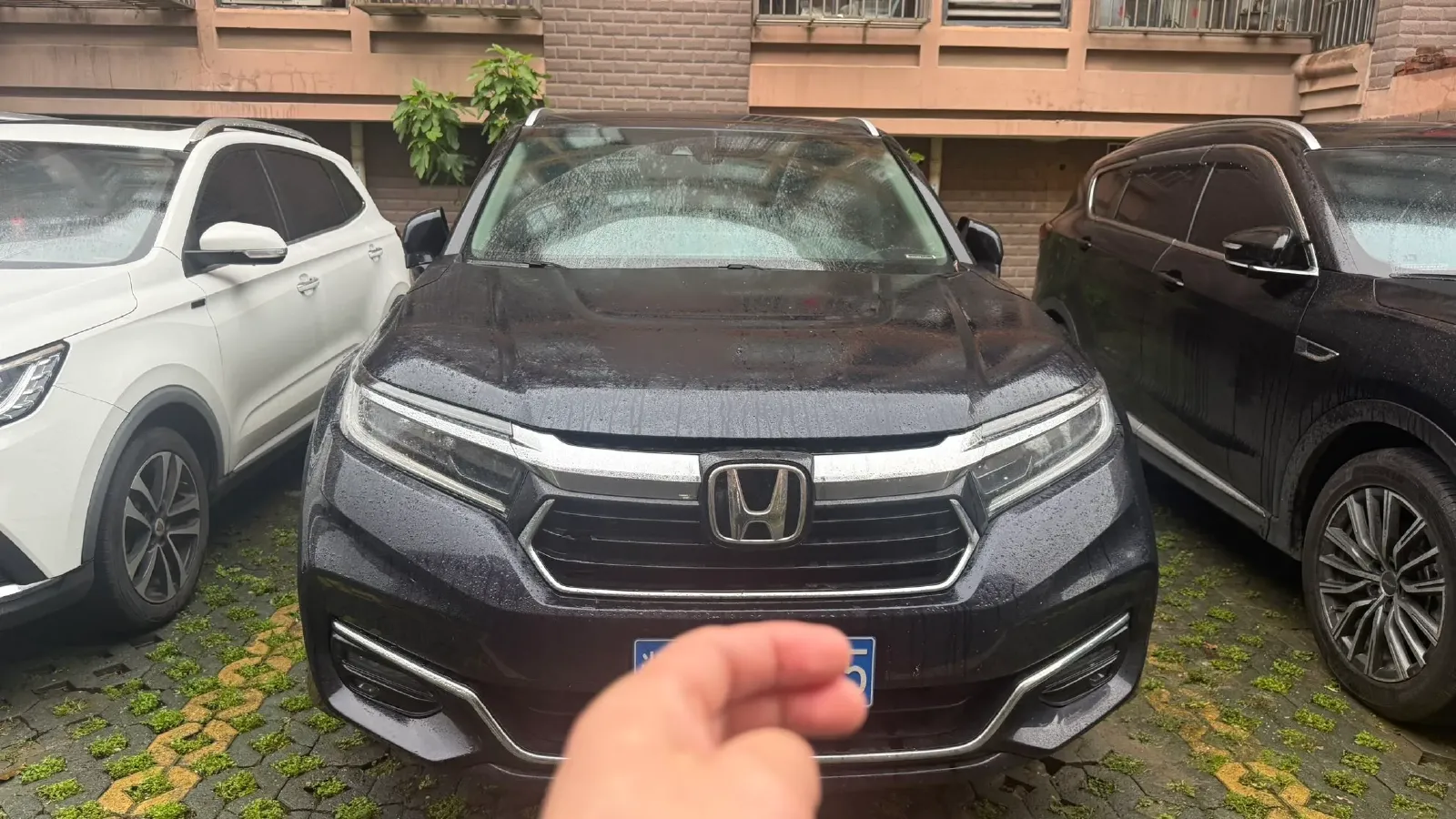 2023 Honda Avancier 2.0T 261HP L4 9AT,autocango,china used car exporter,china ev exporter,chinese used car exporter,chinese used ev exporter