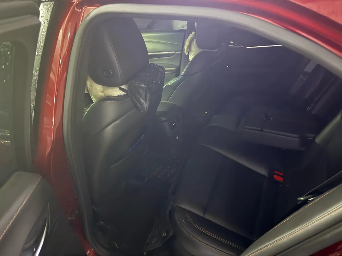 2021 Cadillac CT4 2.0T 237HP L4 8AT,autocango,china used car exporter,china ev exporter,chinese used car exporter,chinese used ev exporter