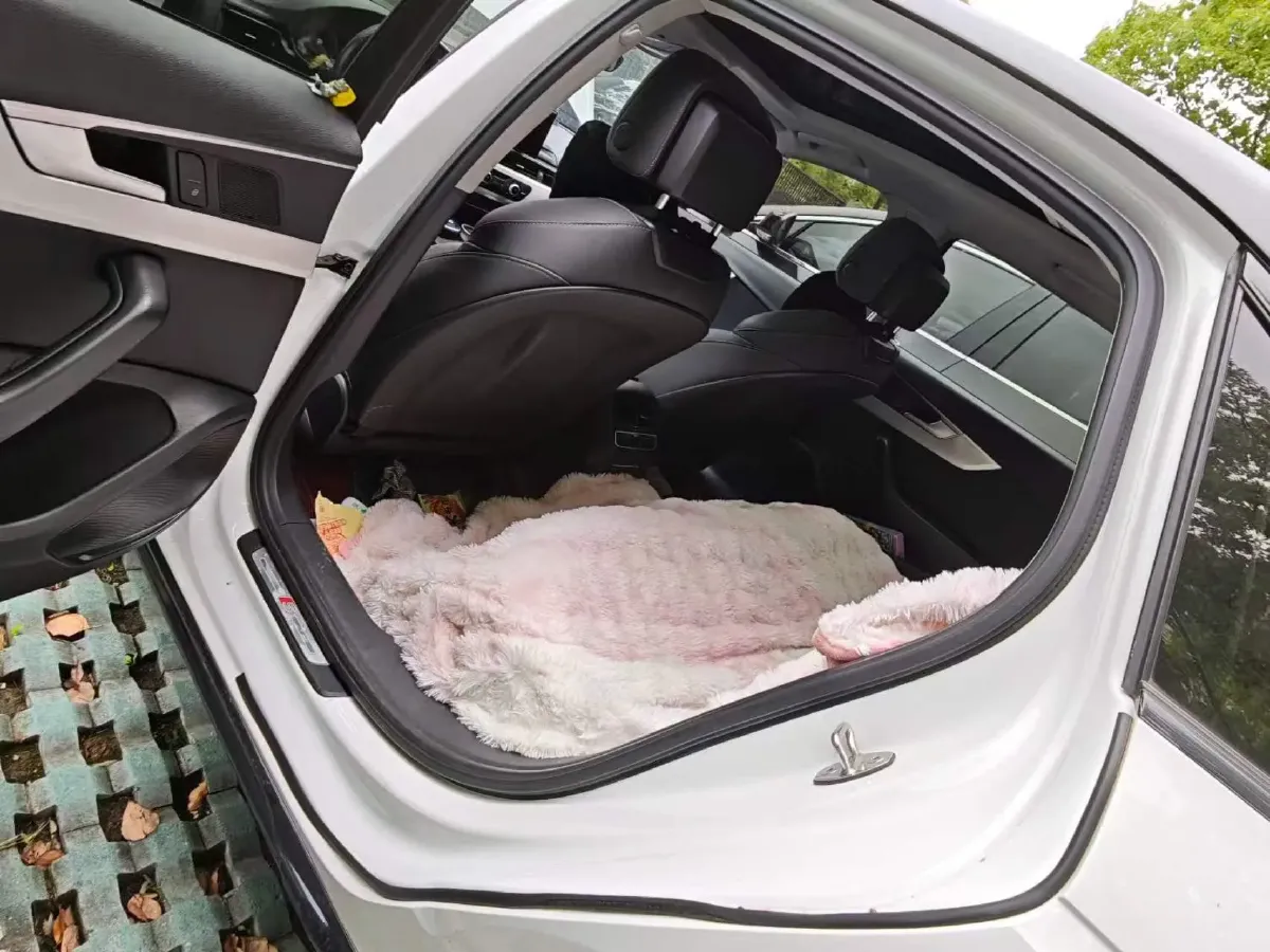 2022 Audi A4L 2.0T 190HP L4 7DCT,autocango,china used car exporter,china ev exporter,chinese used car exporter,chinese used ev exporter