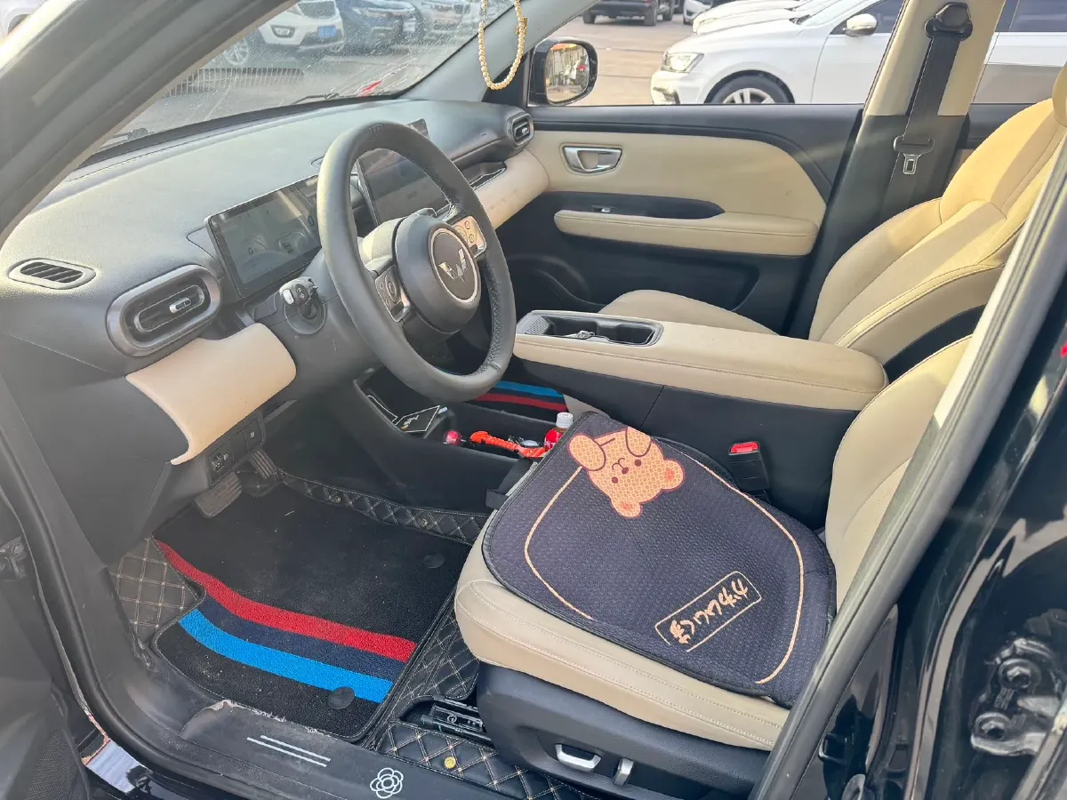 2024 WuLing BinGuoPLUS BEV 50.6KWH,autocango,china used car exporter,china ev exporter,chinese used car exporter,chinese used ev exporter