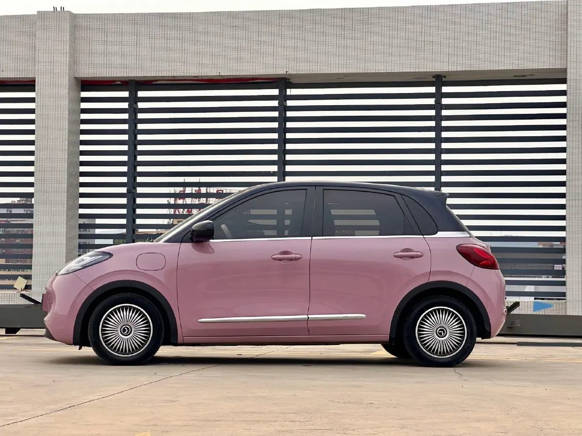 2023 WuLing BinGuo BEV 31.9KWH,autocango,china used car exporter,china ev exporter,chinese used car exporter,chinese used ev exporter