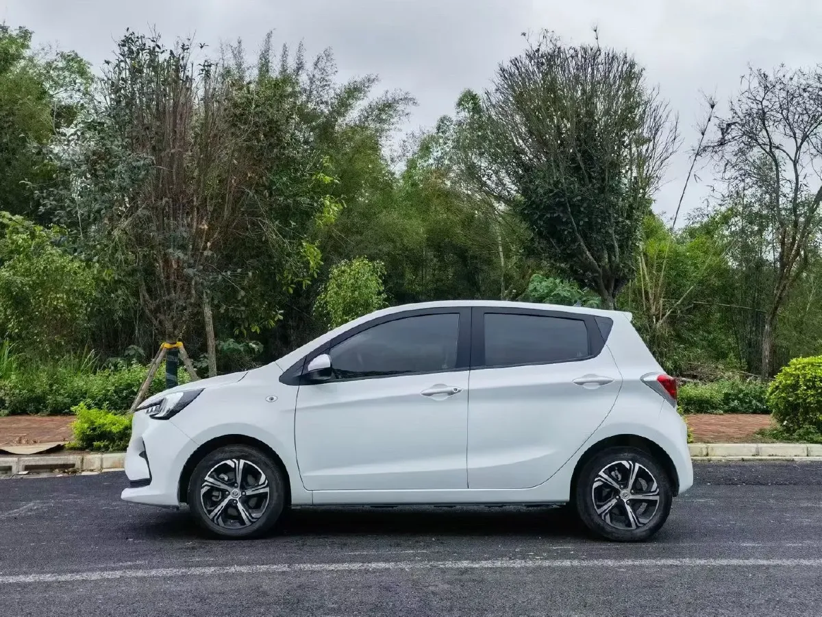 2020 ChangAn BenBen E-Star BEV 32.2KWH,autocango,china used car exporter,china ev exporter,chinese used car exporter,chinese used ev exporter