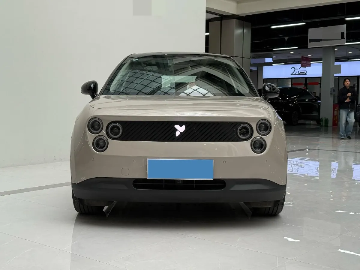 2025 Firefly Firefly BEV,autocango,china used car exporter,china ev exporter,chinese used car exporter,chinese used ev exporter