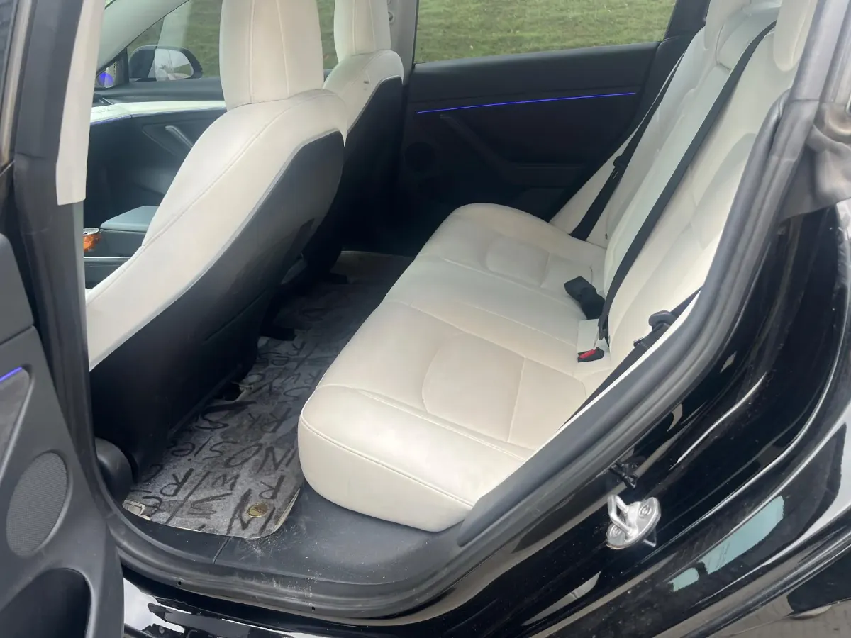 2022 Tesla Model 3 BEV 60KWH,autocango,china used car exporter,china ev exporter,chinese used car exporter,chinese used ev exporter