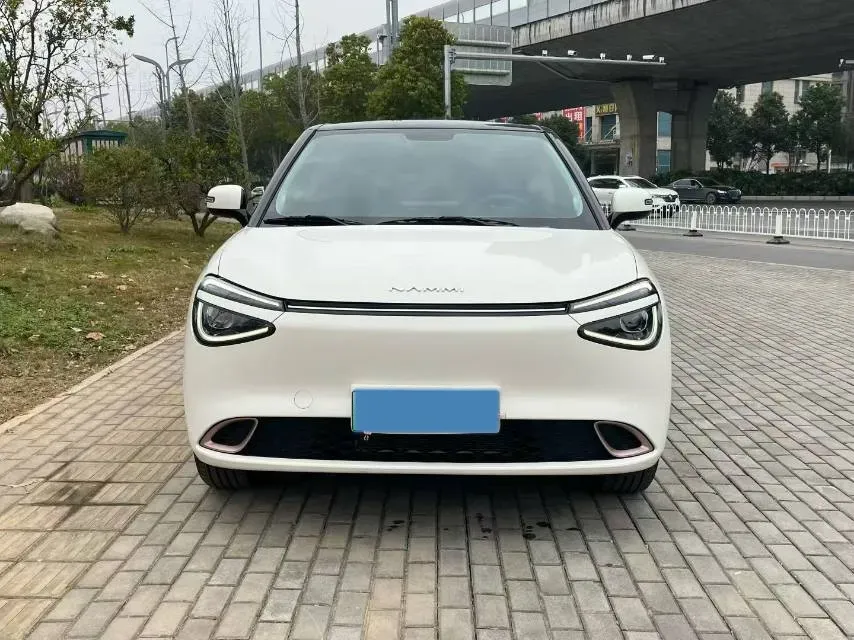 2024 DongFeng eπ 01 BEV 31.45KWH,autocango,china used car exporter,china ev exporter,chinese used car exporter,chinese used ev exporter